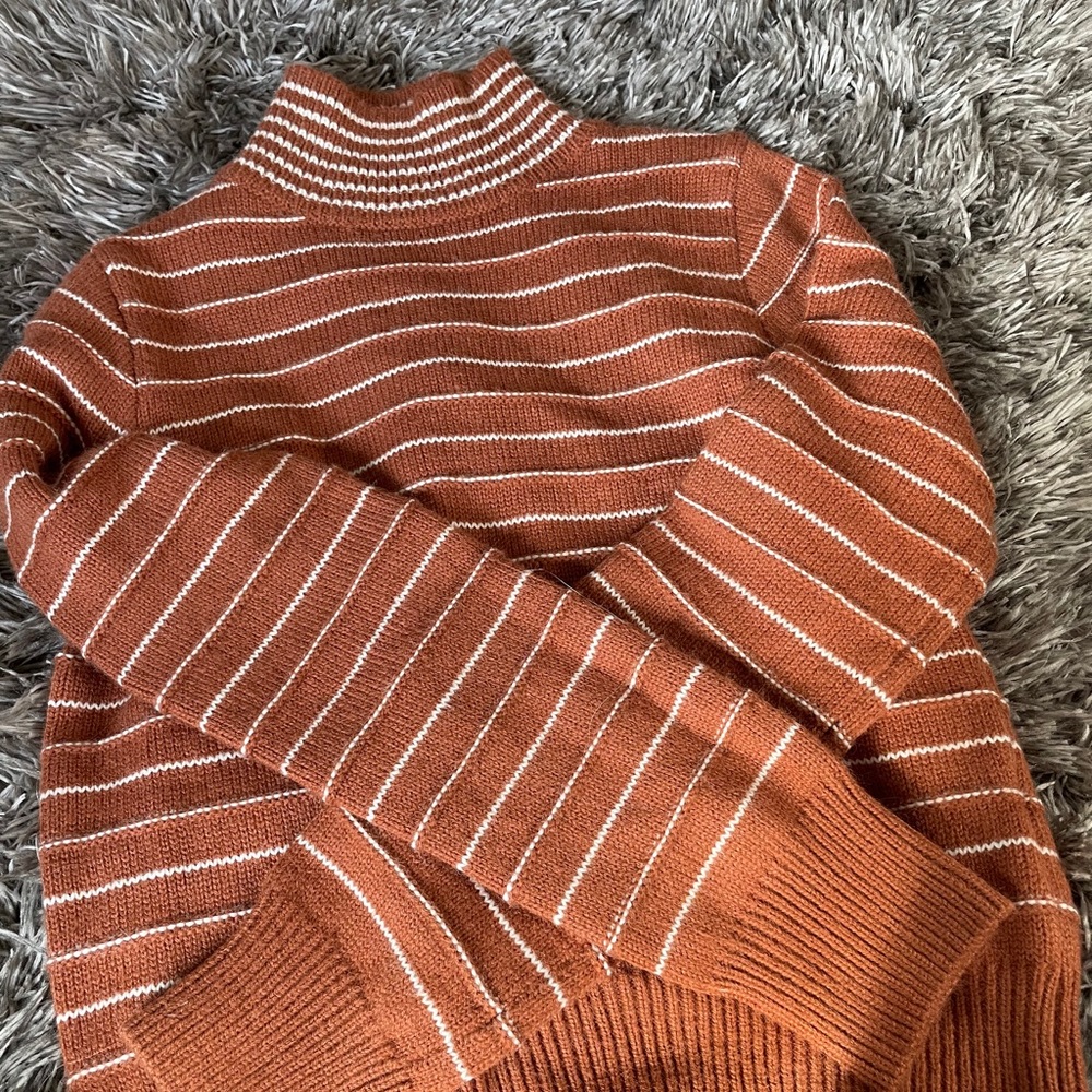 Turtle neck sweater